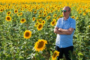 GIRASOLES A&T-1504