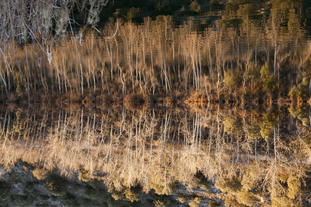 PANORÁMICA DUERO SATURIO reflejo